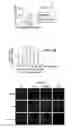 Fig. 07 - Compositions and methods for the treatment of Parkinson's disease
