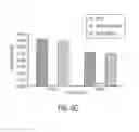 Fig. 08 - PHENYLEPHRINE PHARMACEUTICAL FORMULATIONS AND COMPOSITIONS FOR COLONIC ABOSORPTION