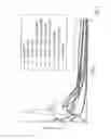 Fig. 09 - PHENYLEPHRINE PHARMACEUTICAL FORMULATIONS AND COMPOSITIONS FOR COLONIC ABOSORPTION