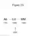 Fig. 07 - Affinity medicant conjugate