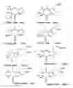 Fig. 33 - Affinity medicant conjugate