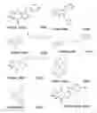Fig. 35 - Affinity medicant conjugate