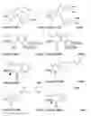 Fig. 47 - Affinity medicant conjugate