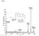 Fig. 04 - Methods of quantifying N-(1-carboxyethyl)-2′-deoxy-guanosine (CEdG) and synthesis of oligonucleotides containing CEdG