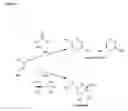 Fig. 08 - Methods of quantifying N-(1-carboxyethyl)-2′-deoxy-guanosine (CEdG) and synthesis of oligonucleotides containing CEdG