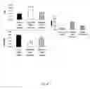 Fig. 49 - INCREASING GLUTATHIONE LEVELS FOR THERAPY