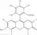 Fig. 02 - Combination of rose bengal and systemic immunomodulative therapies for enhanced treatment of cancer