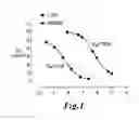 Fig. 02 - Chemically and metabolically stable dipeptide possessing potent sodium channel blocker activity