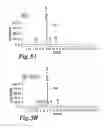 Fig. 06 - Chemically and metabolically stable dipeptide possessing potent sodium channel blocker activity