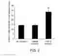 Fig. 03 - Pro-neurogenic compounds