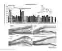 Fig. 07 - Pro-neurogenic compounds