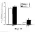 Fig. 16 - Pro-neurogenic compounds