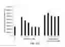 Fig. 32 - Pro-neurogenic compounds