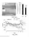 Fig. 37 - Pro-neurogenic compounds