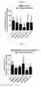 Fig. 02 - Macrocyclic LRRK2 kinase inhibitors