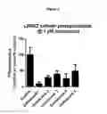 Fig. 03 - Macrocyclic LRRK2 kinase inhibitors