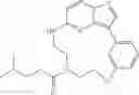 Fig. 04 - Macrocyclic LRRK2 kinase inhibitors