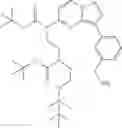 Fig. 137 - Macrocyclic LRRK2 kinase inhibitors