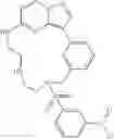 Fig. 141 - Macrocyclic LRRK2 kinase inhibitors