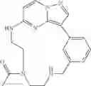 Fig. 145 - Macrocyclic LRRK2 kinase inhibitors