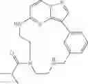 Fig. 147 - Macrocyclic LRRK2 kinase inhibitors