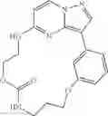 Fig. 22 - Macrocyclic LRRK2 kinase inhibitors