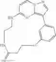 Fig. 233 - Macrocyclic LRRK2 kinase inhibitors