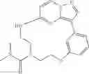 Fig. 237 - Macrocyclic LRRK2 kinase inhibitors