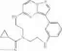 Fig. 261 - Macrocyclic LRRK2 kinase inhibitors