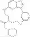 Fig. 262 - Macrocyclic LRRK2 kinase inhibitors