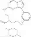 Fig. 265 - Macrocyclic LRRK2 kinase inhibitors