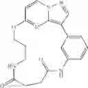 Fig. 294 - Macrocyclic LRRK2 kinase inhibitors