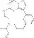 Fig. 296 - Macrocyclic LRRK2 kinase inhibitors