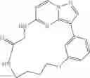 Fig. 299 - Macrocyclic LRRK2 kinase inhibitors