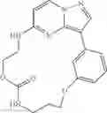 Fig. 303 - Macrocyclic LRRK2 kinase inhibitors