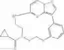 Fig. 34 - Macrocyclic LRRK2 kinase inhibitors