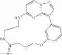 Fig. 40 - Macrocyclic LRRK2 kinase inhibitors