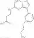 Fig. 45 - Macrocyclic LRRK2 kinase inhibitors