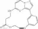 Fig. 46 - Macrocyclic LRRK2 kinase inhibitors