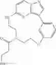 Fig. 48 - Macrocyclic LRRK2 kinase inhibitors