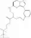 Fig. 49 - Macrocyclic LRRK2 kinase inhibitors