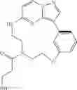 Fig. 50 - Macrocyclic LRRK2 kinase inhibitors