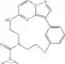 Fig. 80 - Macrocyclic LRRK2 kinase inhibitors