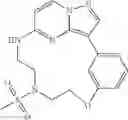Fig. 83 - Macrocyclic LRRK2 kinase inhibitors