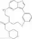 Fig. 96 - Macrocyclic LRRK2 kinase inhibitors
