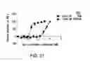 Fig. 22 - Heterocyclic compounds and uses thereof