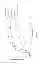Fig. 03 - Co-micronization product comprising ulipristal acetate