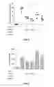 Fig. 04 - Composition comprising GPCR19 agonist as an active ingredient for preventing or treating allergic dermatitis