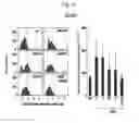 Fig. 06 - COMPOSITION FOR INHIBITING CELLULAR SENESCENCE COMPRISING QUERCETIN-3-O-beta-D-GLUCURONIDE