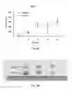 Fig. 05 - DRUG COMPOSITION FOR TREATING TUMORS AND APPLICATION THEREOF